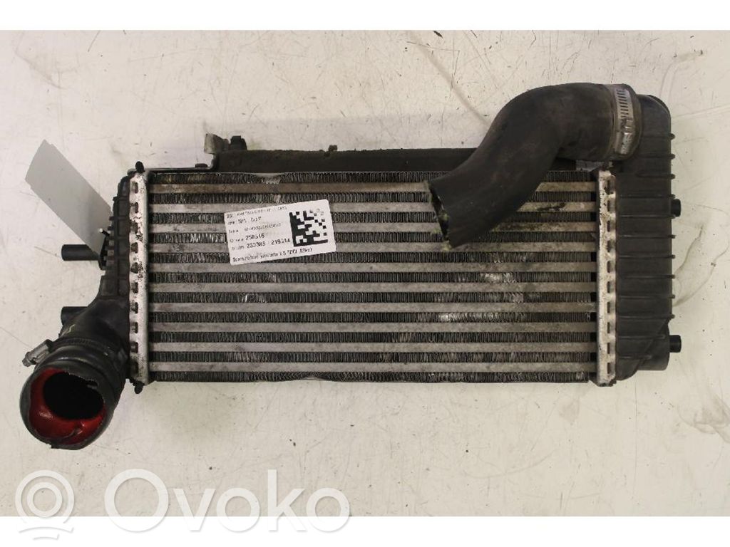 Ford Focus Intercooler radiator 