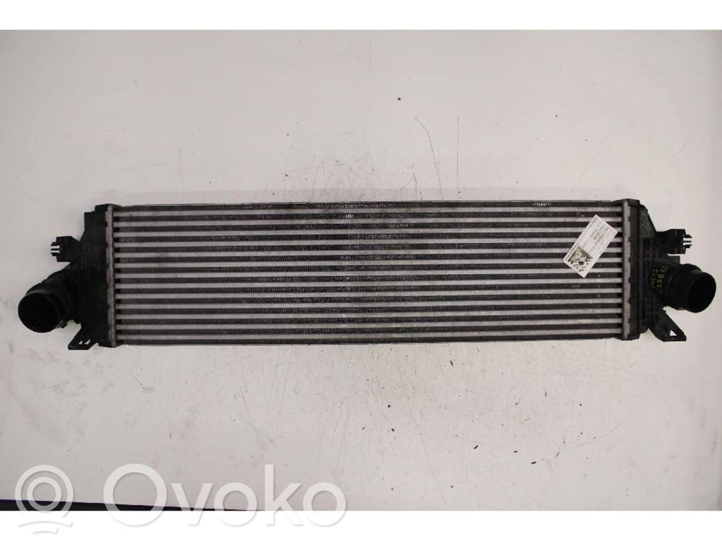 Interkūlerio radiatorius   POLAND,030919,2160,27,4523,AUJ7B,FMC,JX616K775AC,MADE