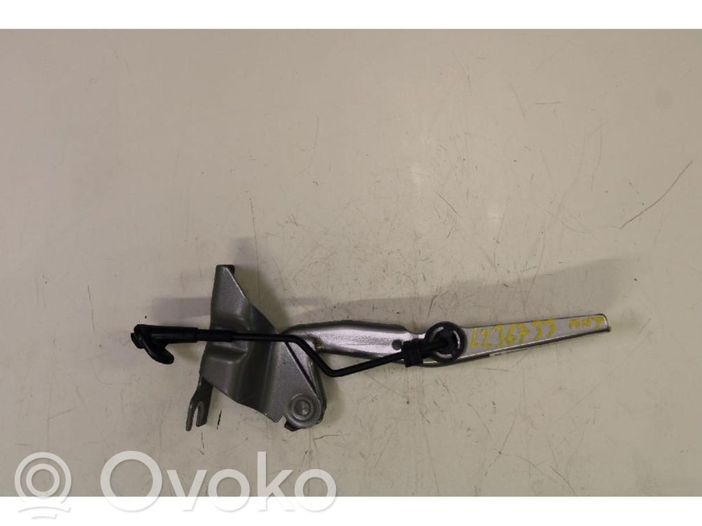 Engine bonnet/hood hinges   VW,1S0,823,AG,REPUBLIC,XS4