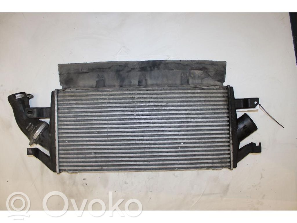 Interkūlerio radiatorius   5058619AB