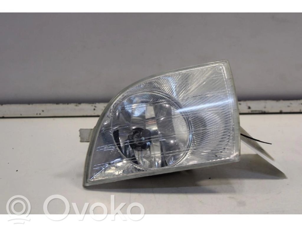 Skoda Fabia Mk2 (5J) Fendinebbia anteriore 