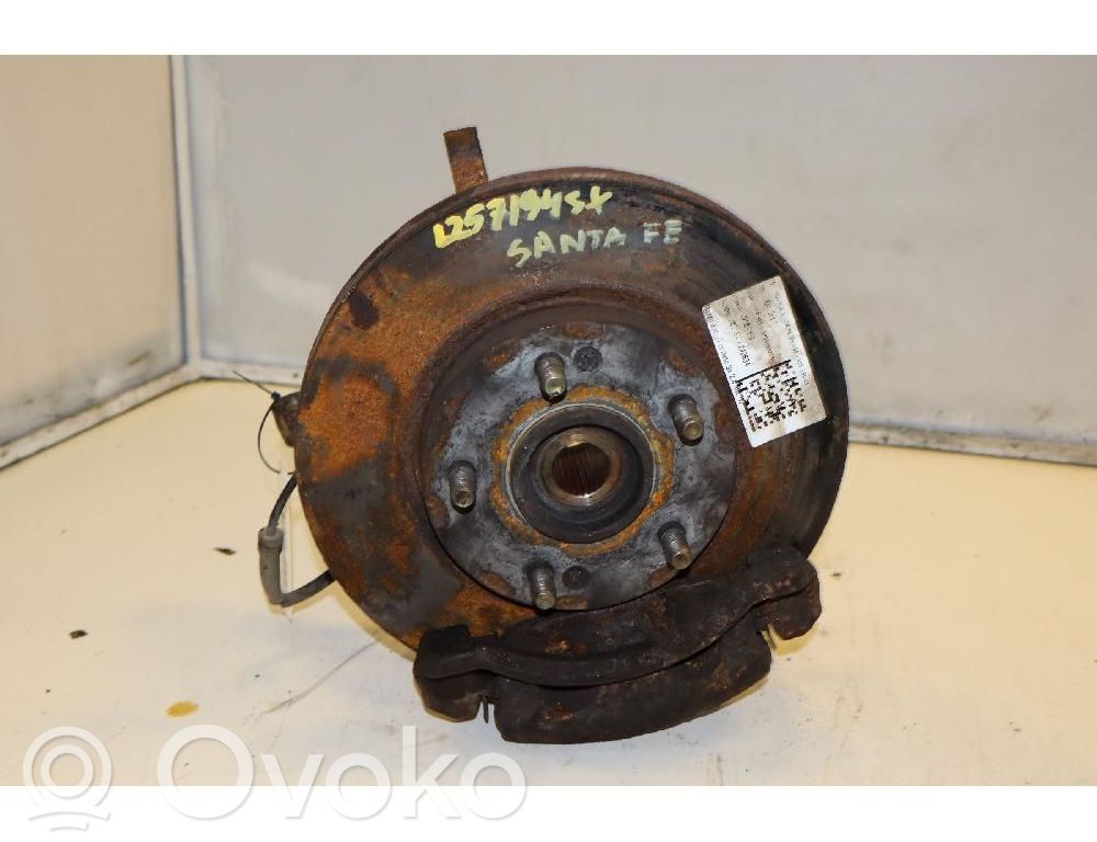 Hyundai Santa Fe Mozzo ruota anteriore