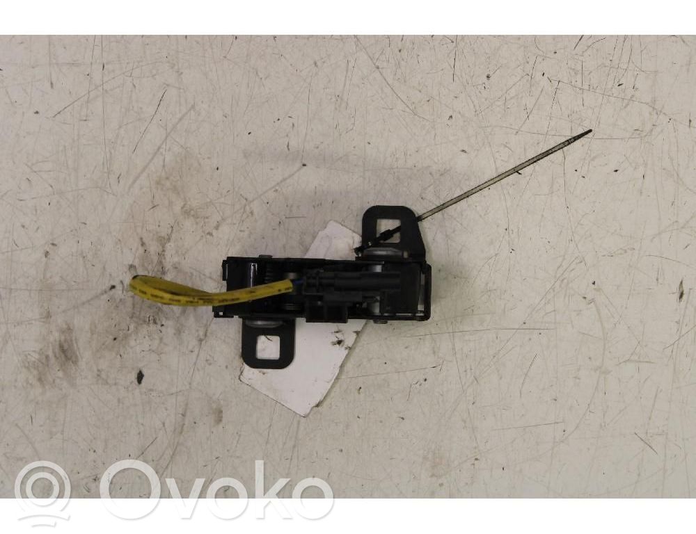 Tie down hook / loop   50563897