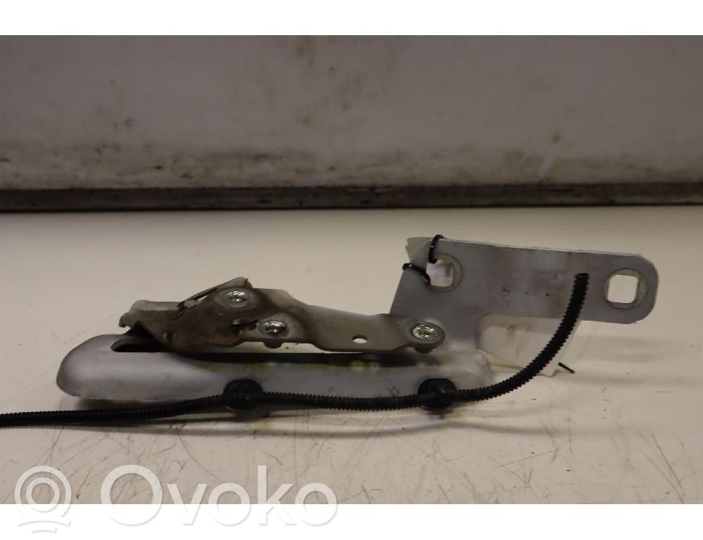 Opel Meriva B Cerniere del vano motore/cofano