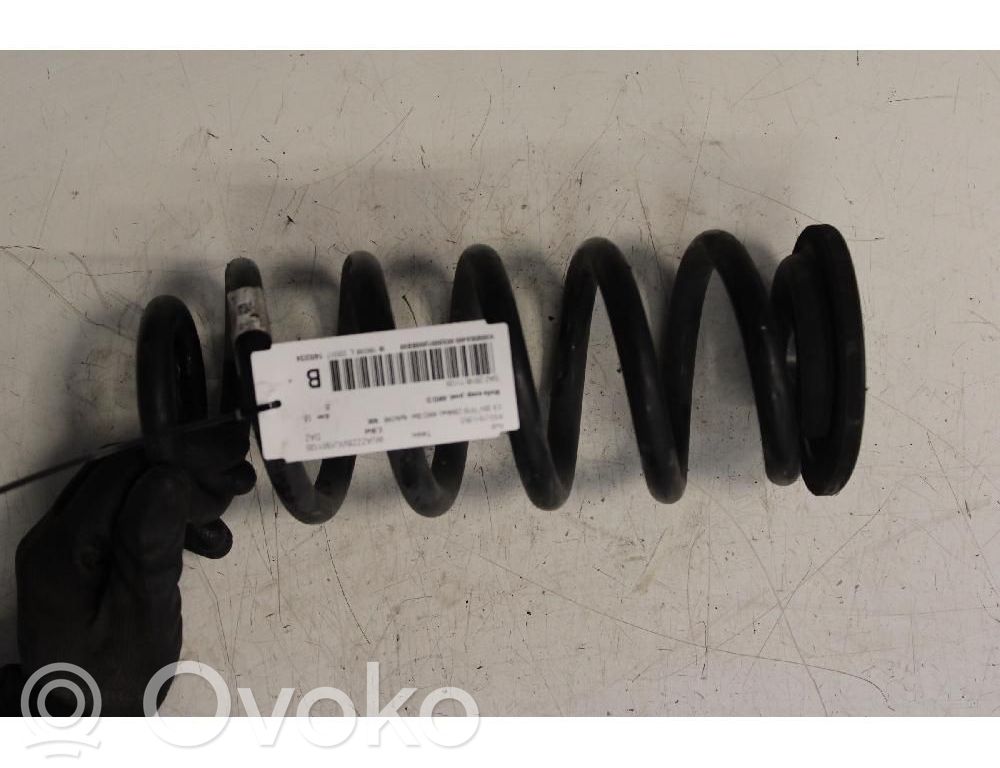 Rear coil spring