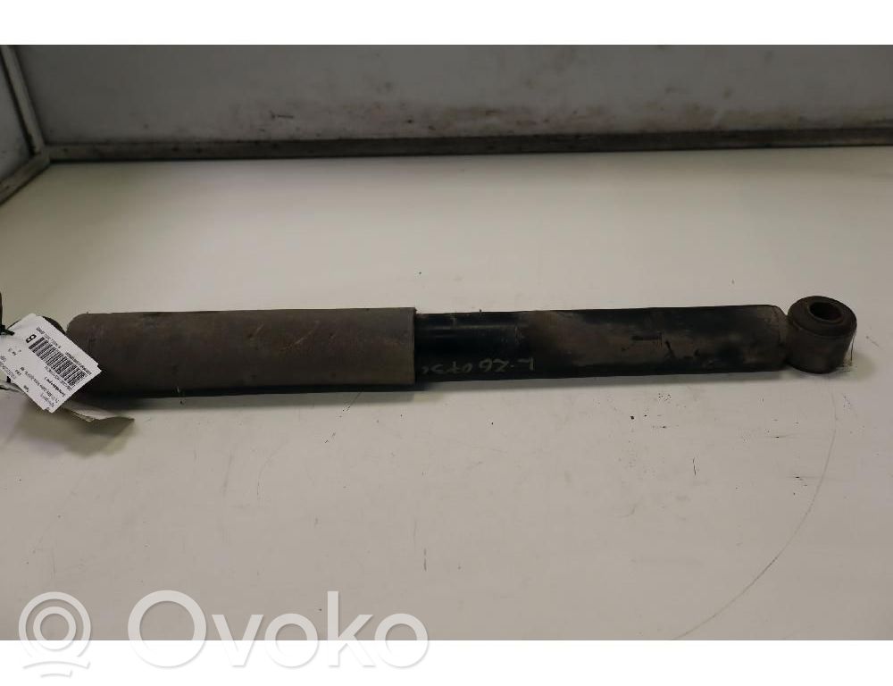 Amortizor spate   553004E100