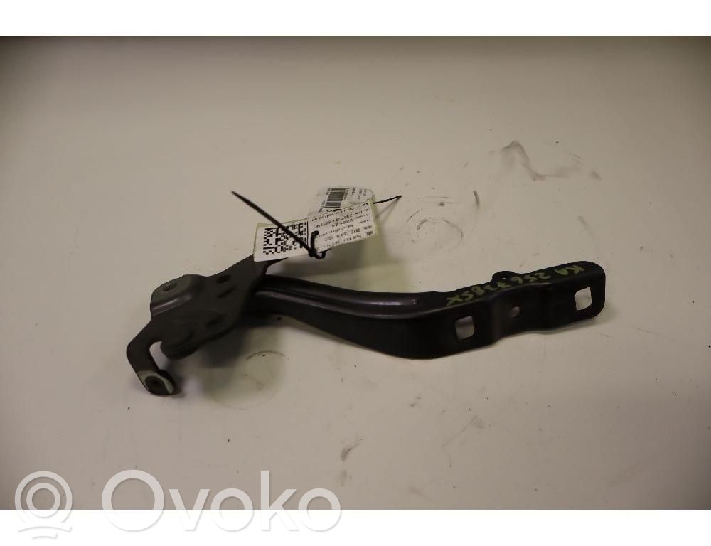 Ford Ka Dzinēja pārsega eņģe (-es) 
