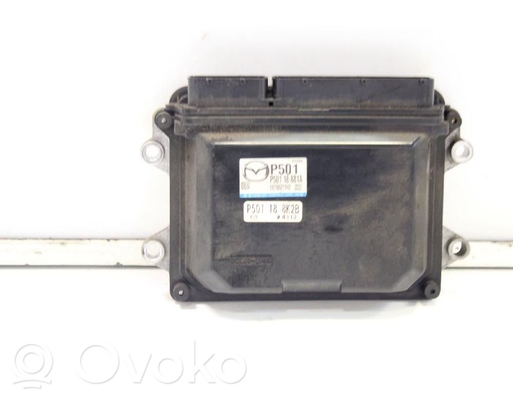 Unidad de control/módulo de la bomba de inyección de combustible   P501