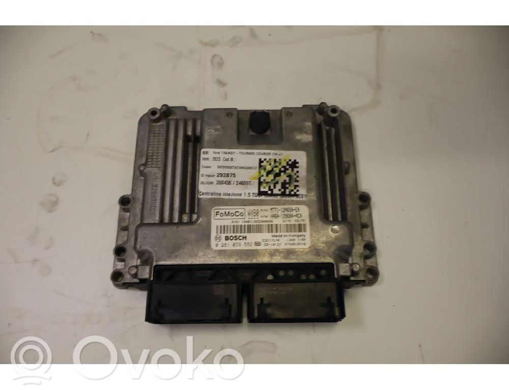 Ford Transit Courier Polttoaineen ruiskutuspumpun ohjainlaite/moduuli