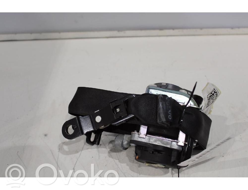 Cinturón delantero   616155800