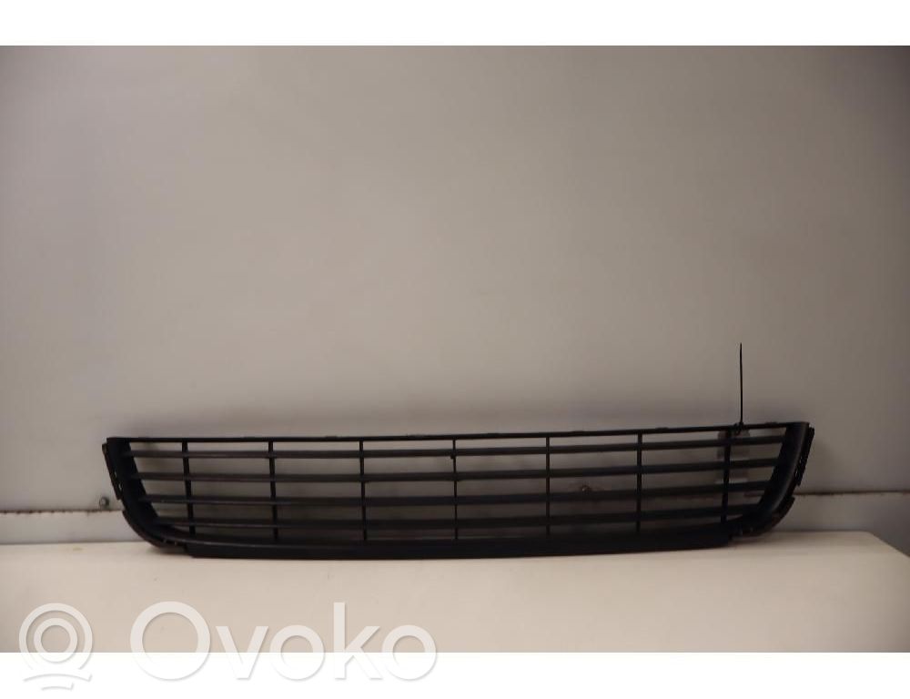 Atrapa chłodnicy / Grill