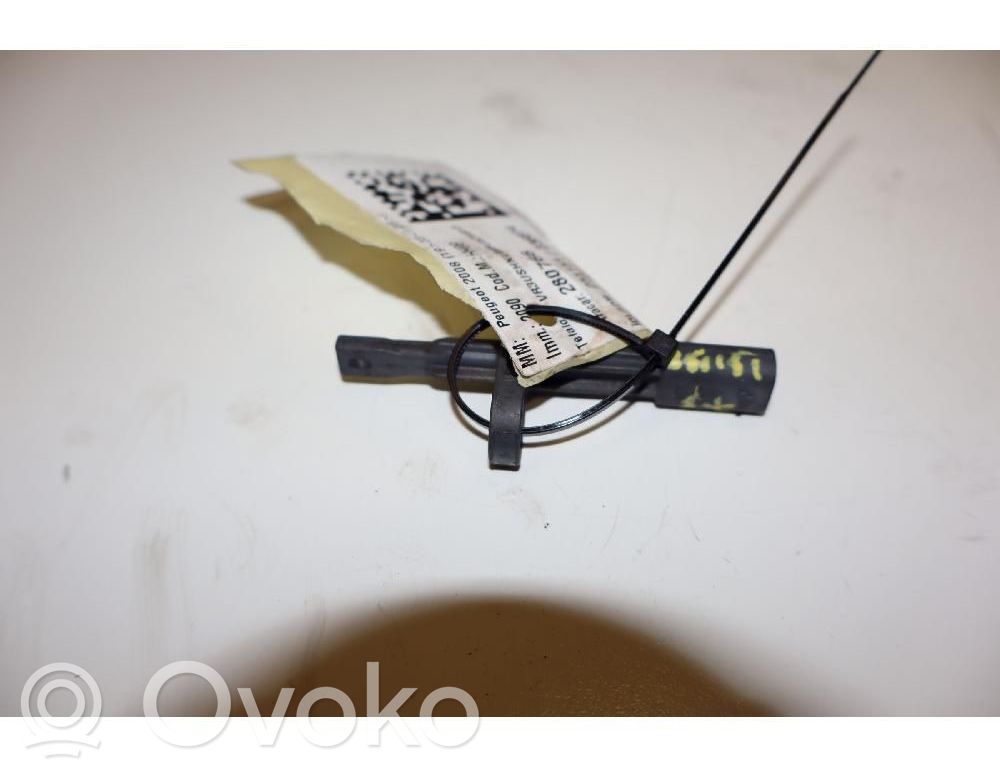ABS Sensor hinten   10071140174