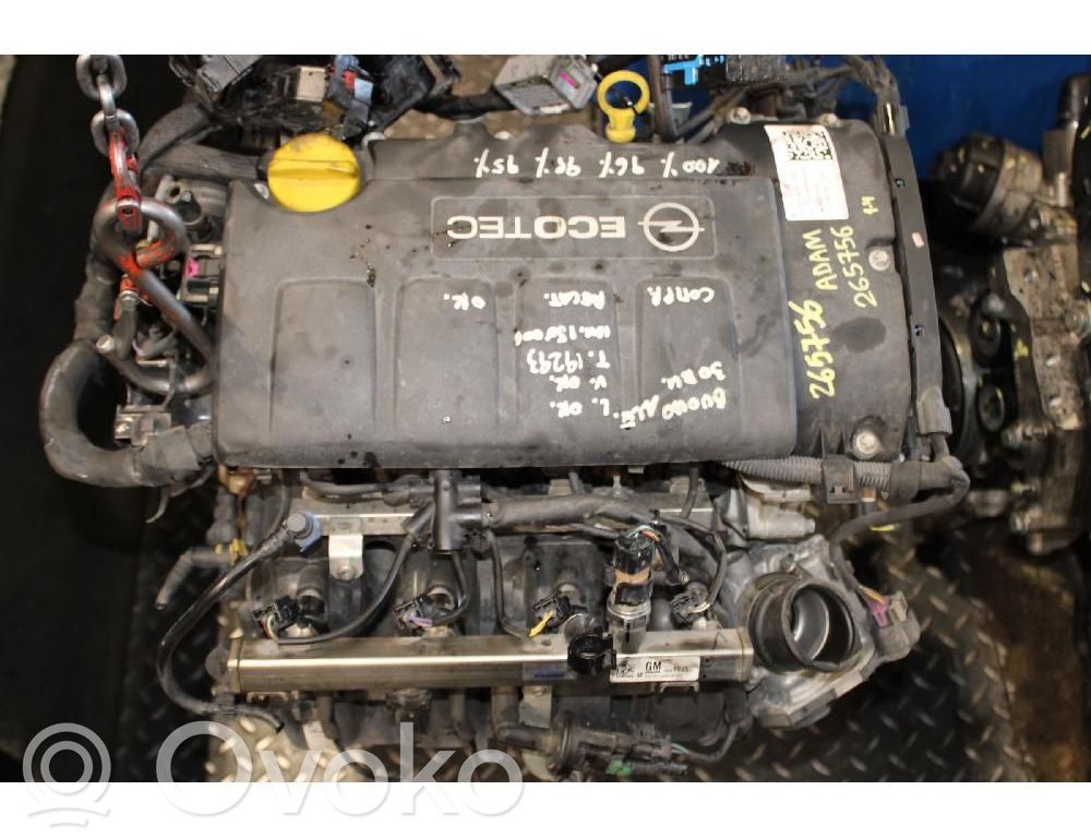 Motor   B14XER