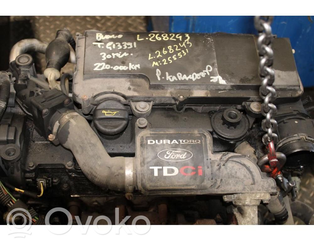 Motor   F6JA