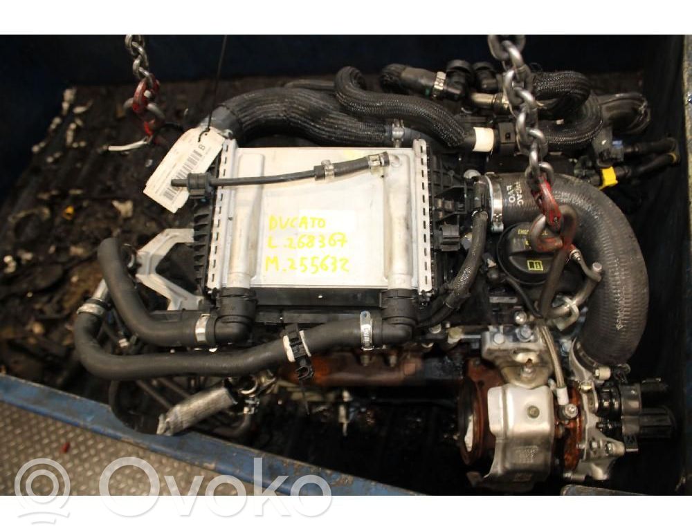 Motore   46356294