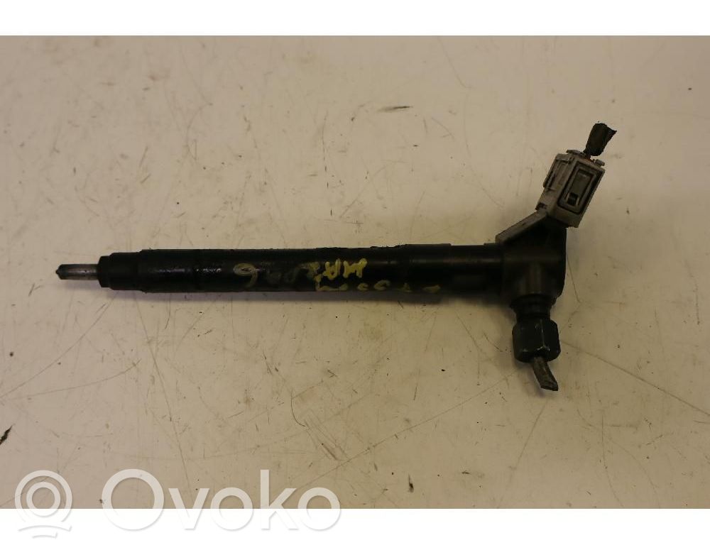Injector combustibil   SH0113H50