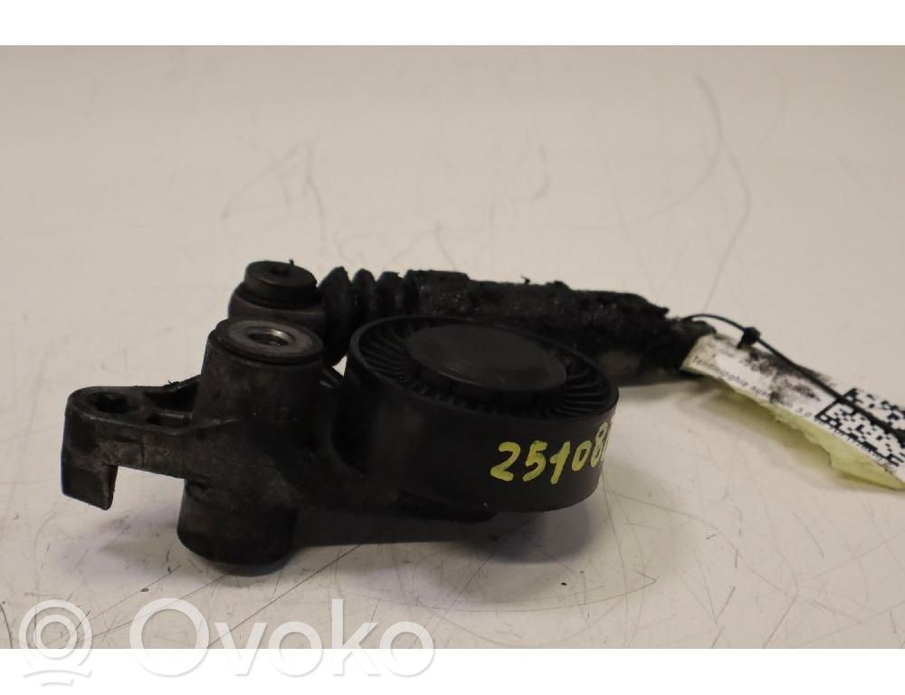 Întinzător curea generator/alternator