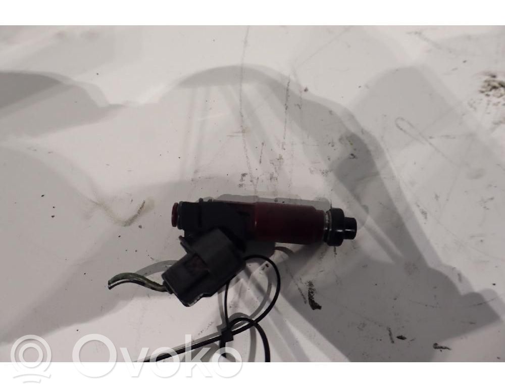 Injector combustibil   1955003310