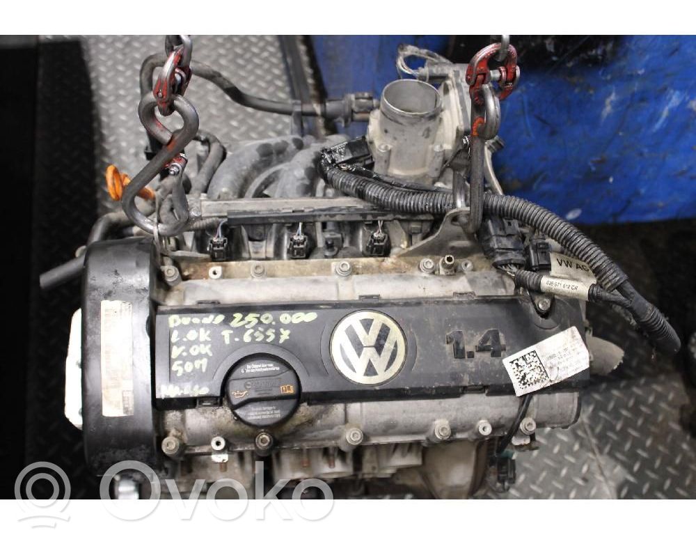 Volkswagen Polo V 6R Motore 