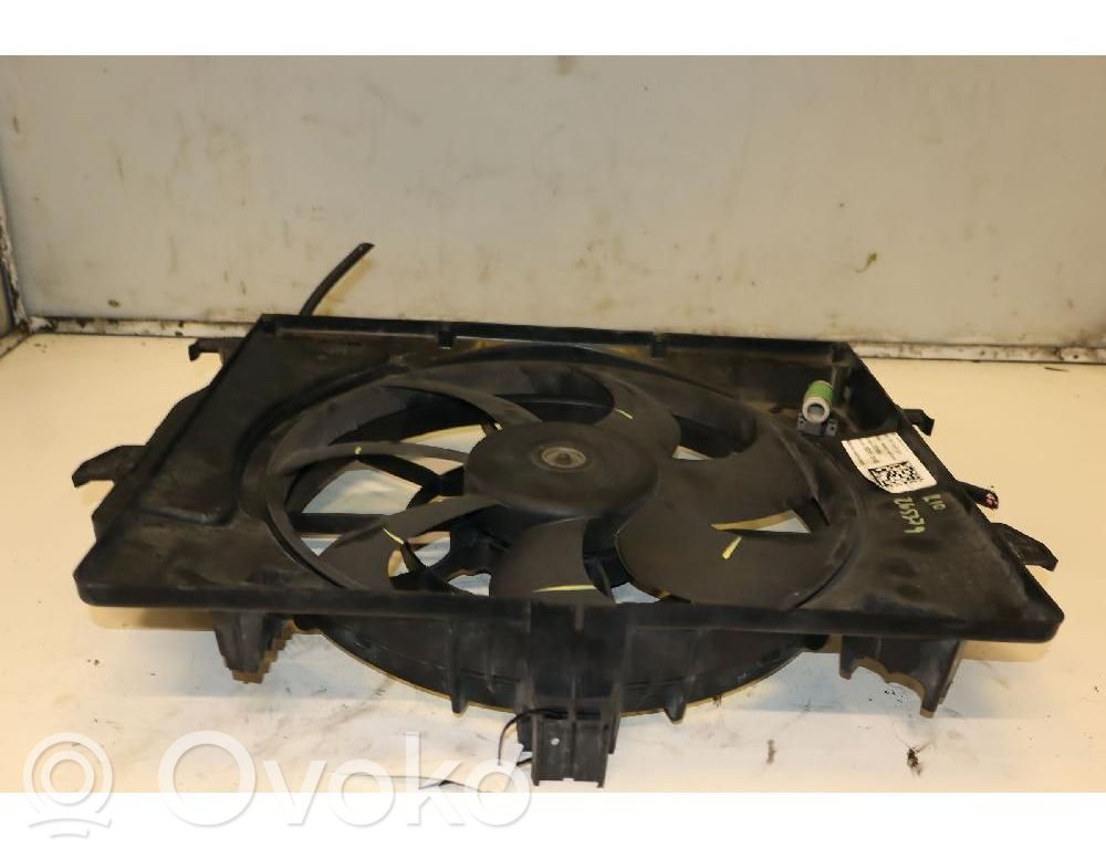 Elektrolüfter   252311R390