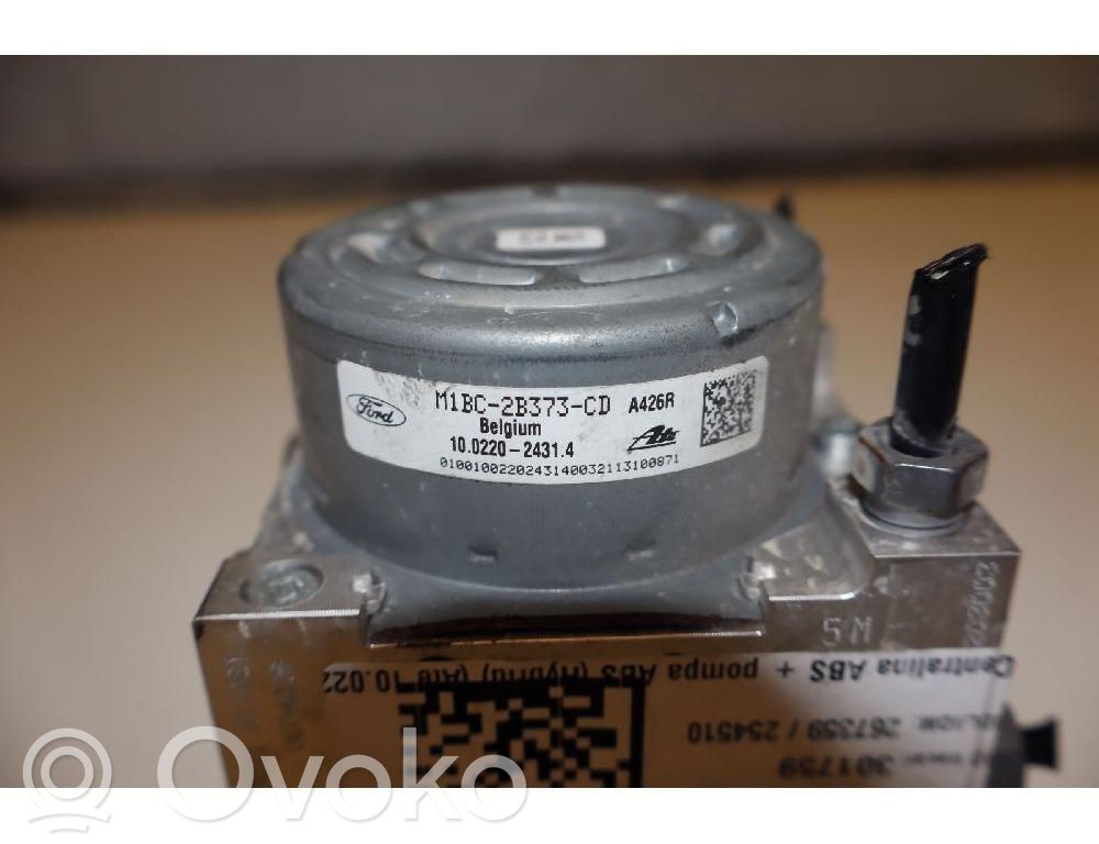 ABS Pump   10022024314