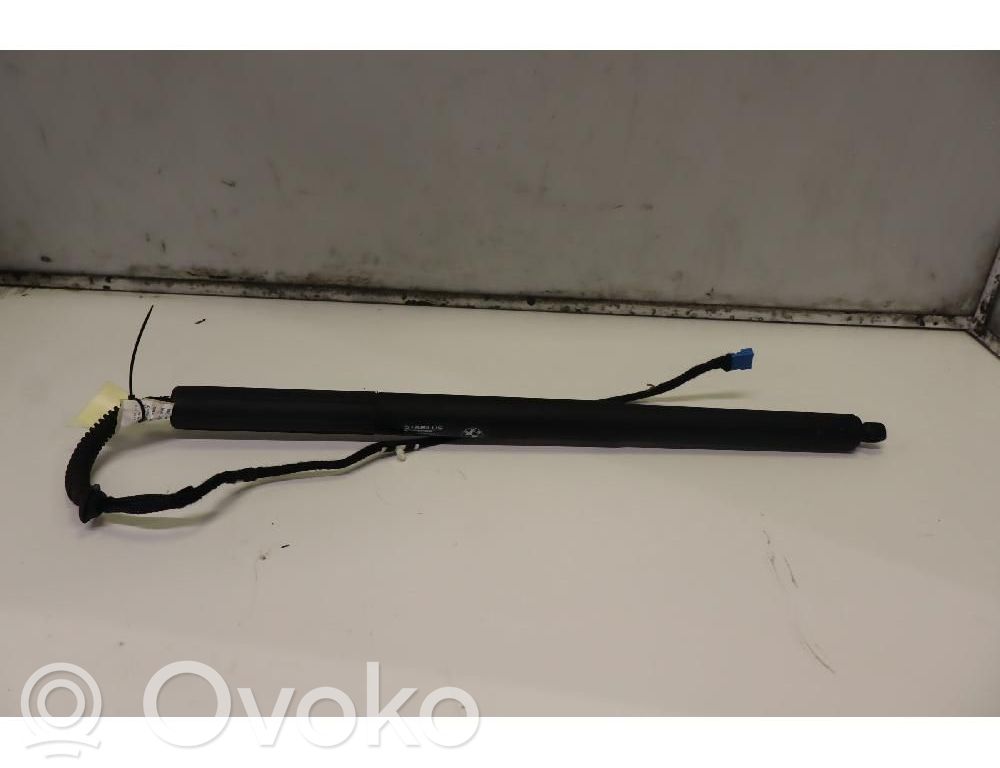 BMW X3 F25 Ammortizzatore portellone posteriore/bagagliaio 