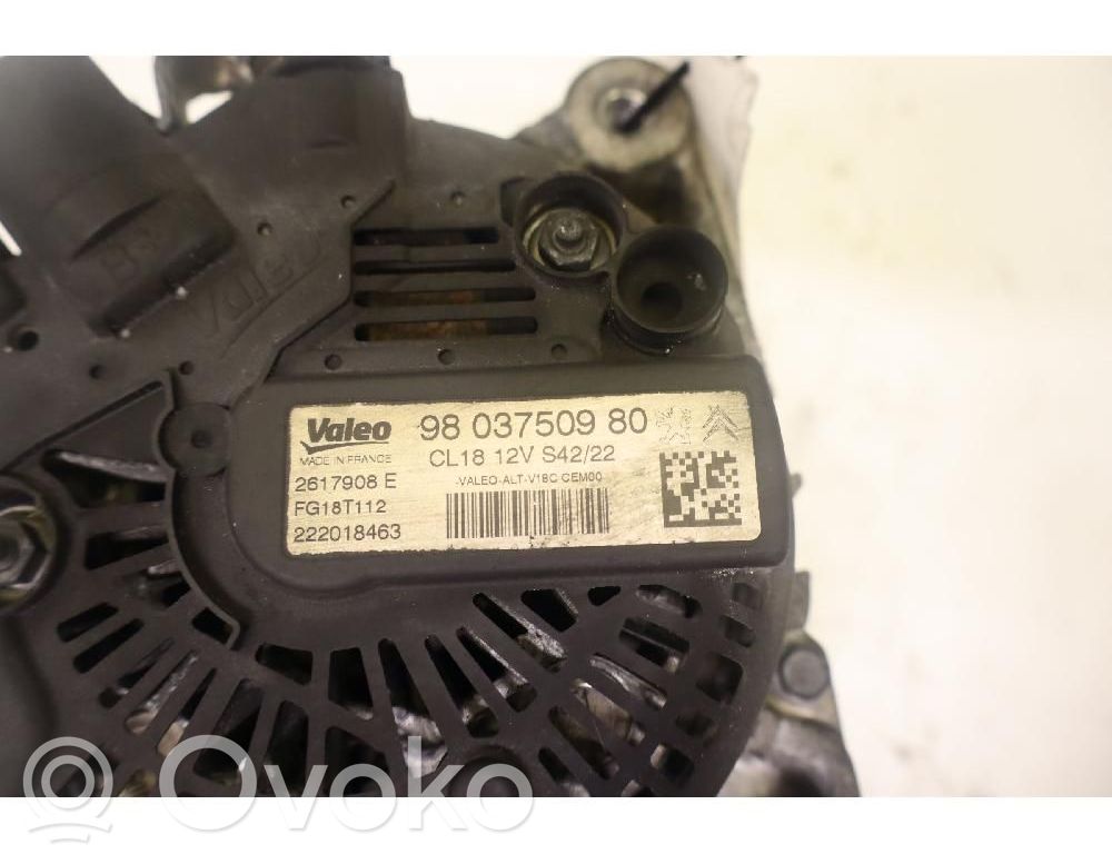 Generatore/alternatore   9803750980