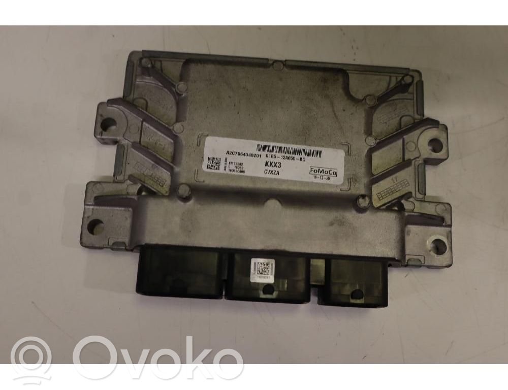 Unidad de control/módulo de la inyección de combustible