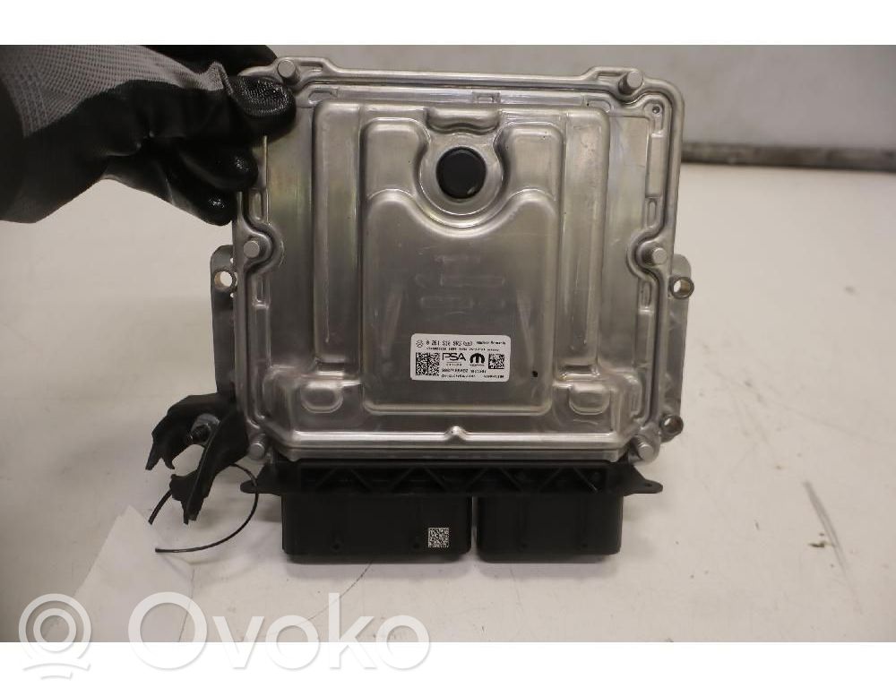 Unité de commande / module de pompe à carburant   0261S109RG