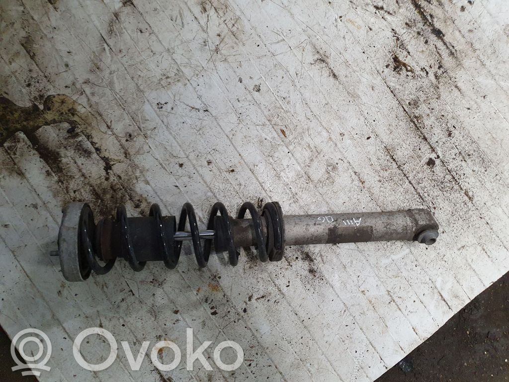 Rear shock absorber with coil spring   NOCODE