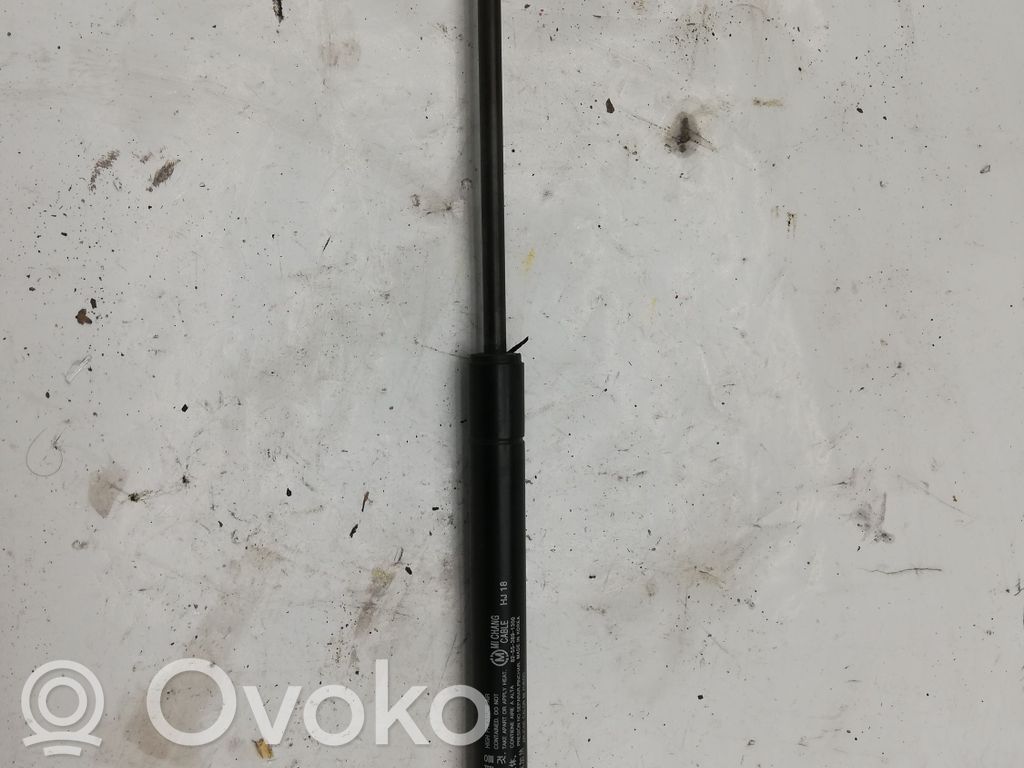 Chevrolet Captiva Tailgate strut 