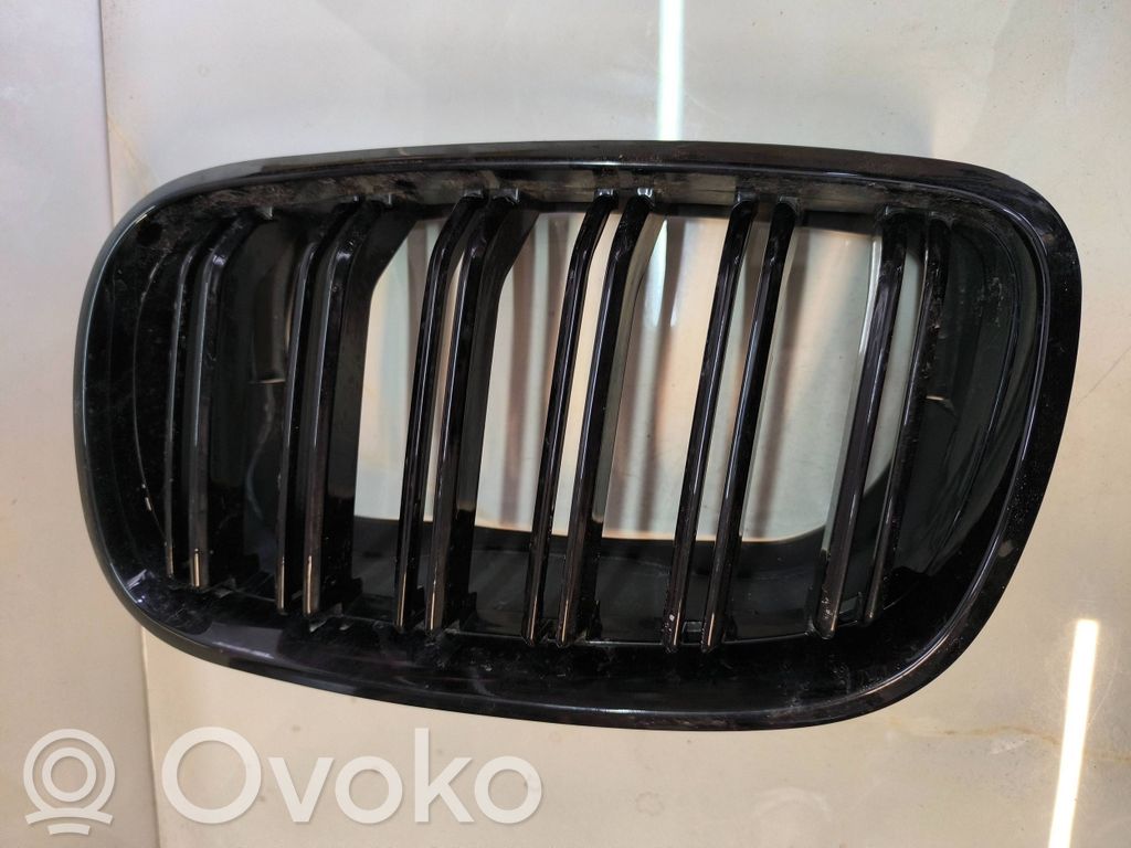 BMW X5 E70 Front bumper upper radiator grill 