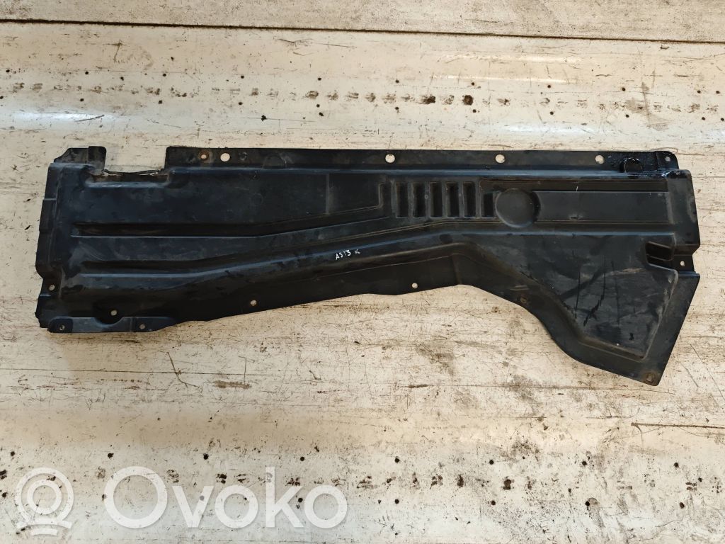 BMW X5 E70 Side bottom protection 