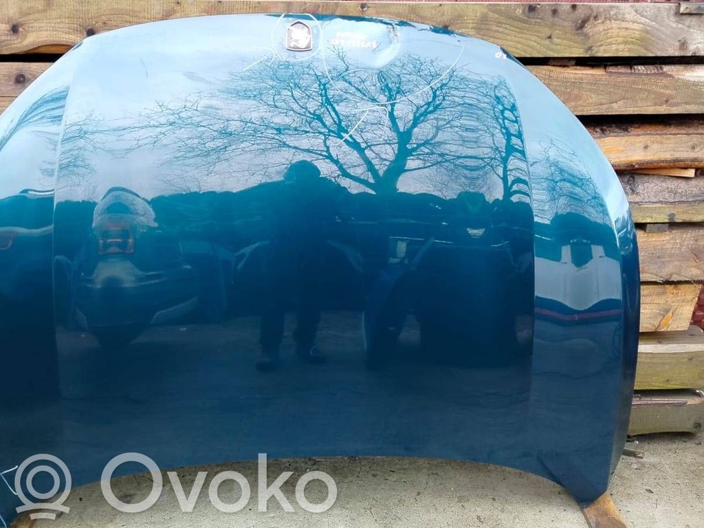Engine bonnet/hood
