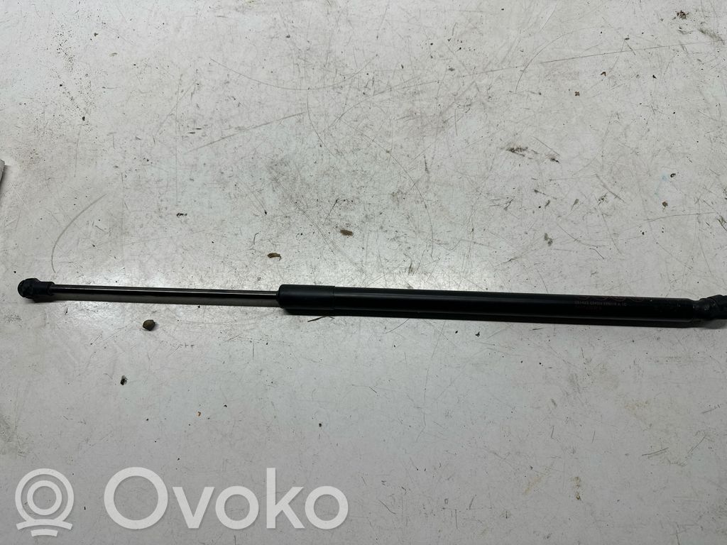 Mazda 2 Tailgate strut 
