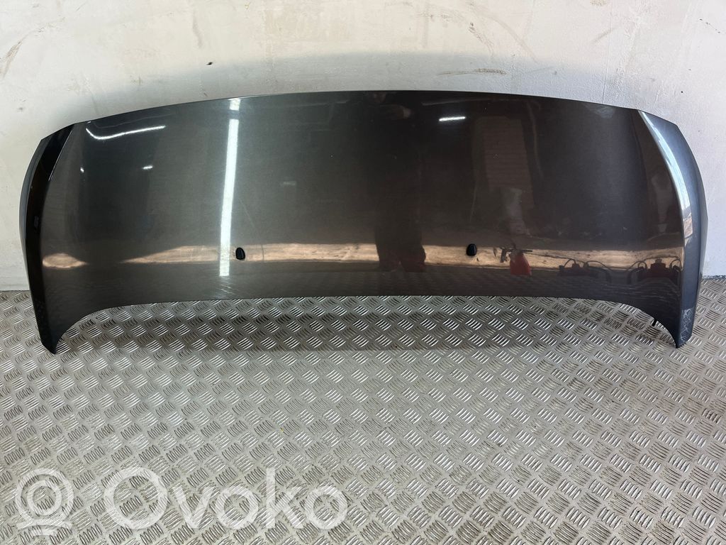 Motorhaube