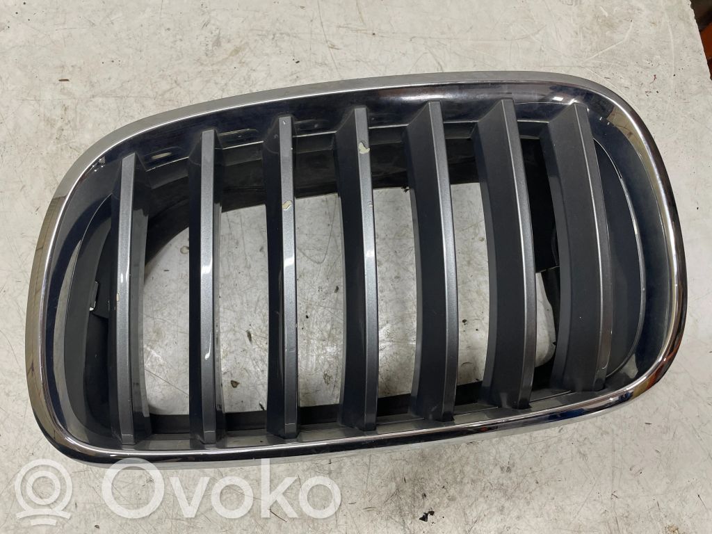 BMW X5 E70 Front bumper upper radiator grill 
