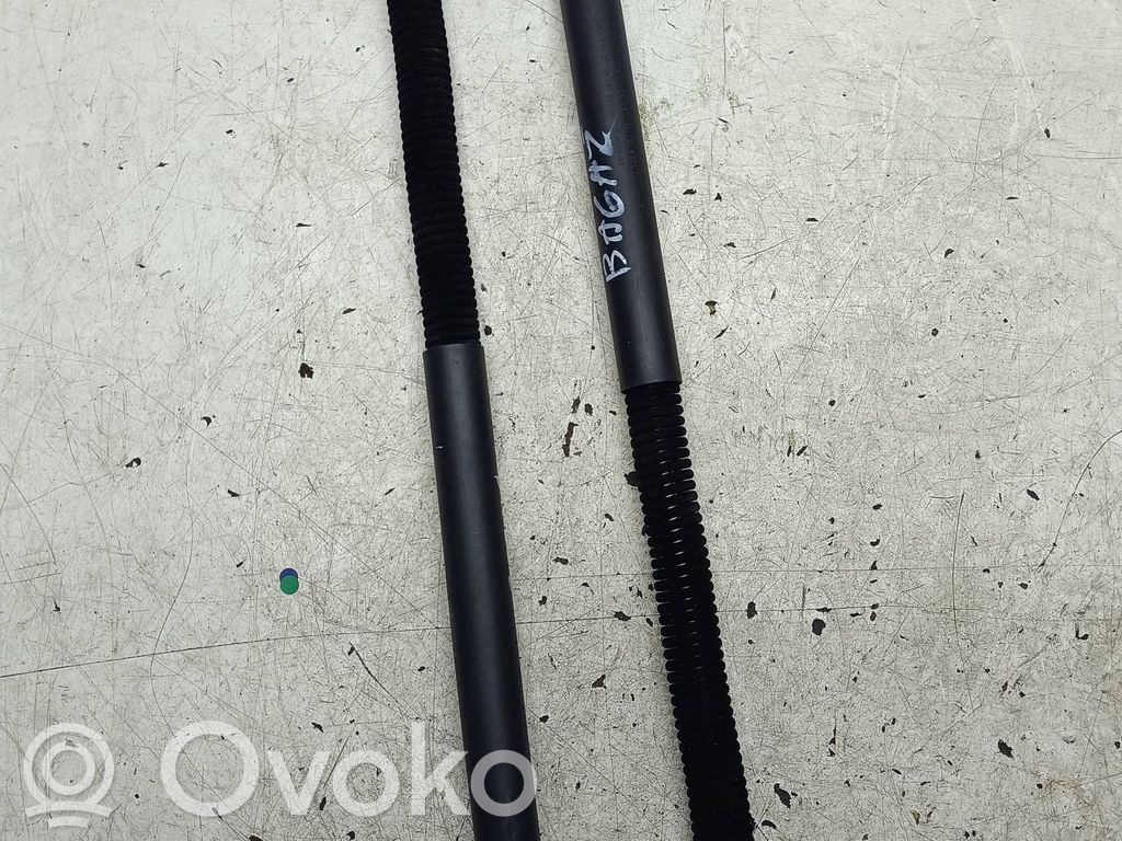 Audi A7 S7 4G Tailgate strut 