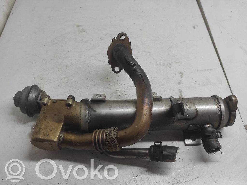 Volkswagen PASSAT B6 Chłodnica spalin EGR 