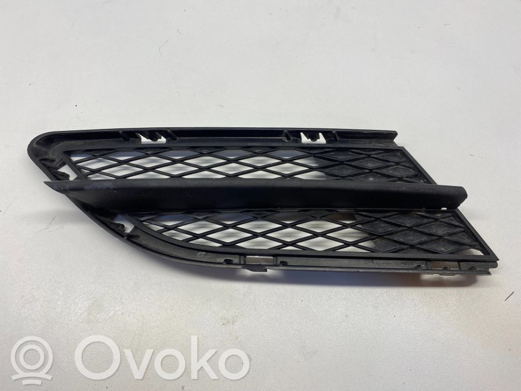 Front bumper lower grill   7198902