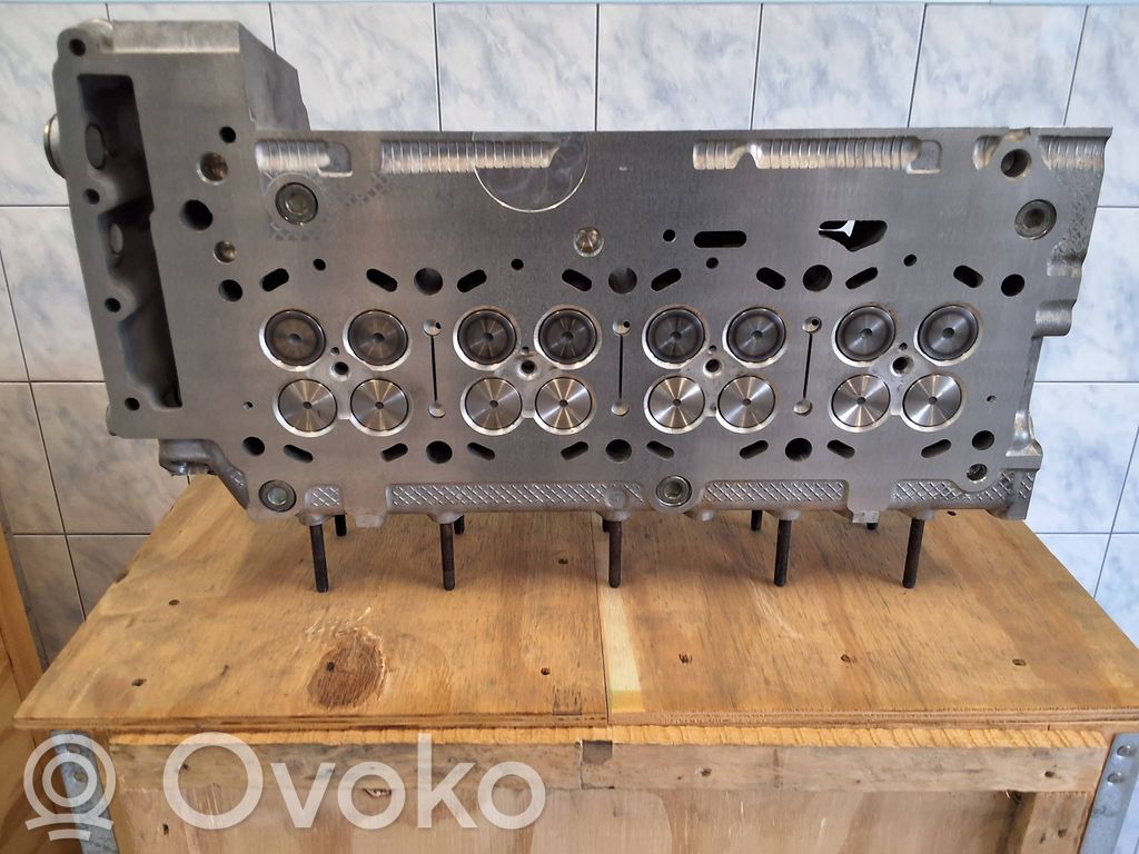 Galvutė   504213159,71771719