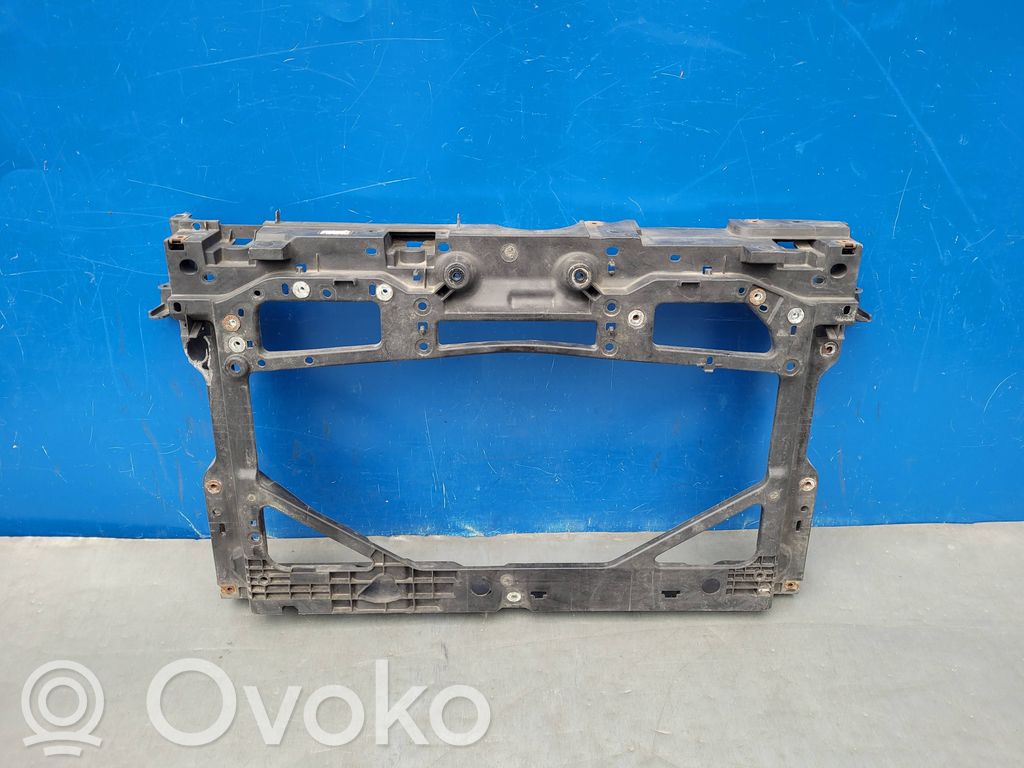 Radiatoru panelis   D09H53110