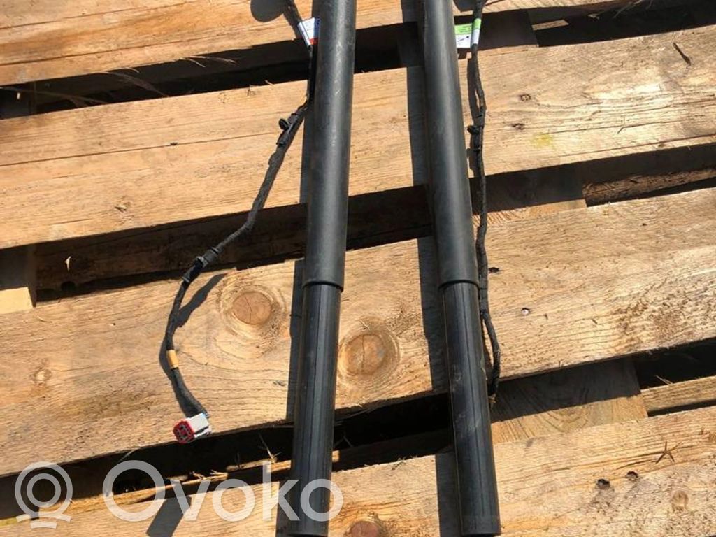 Tailgate strut   LV4BS402A55