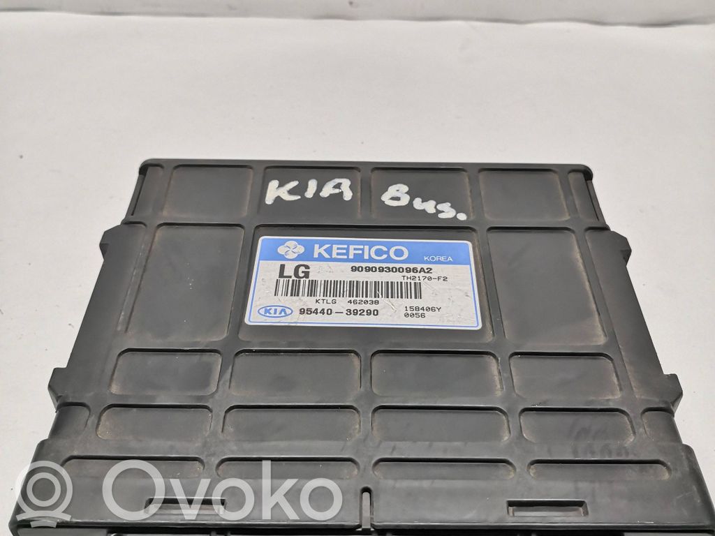 KIA Carnival Injection control unit/module 