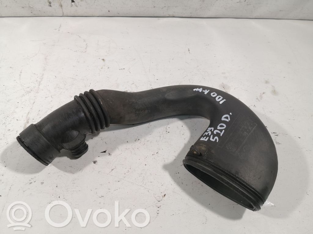 BMW 5 E39 Žarna (-os)/ vamzdis (-džiai) 