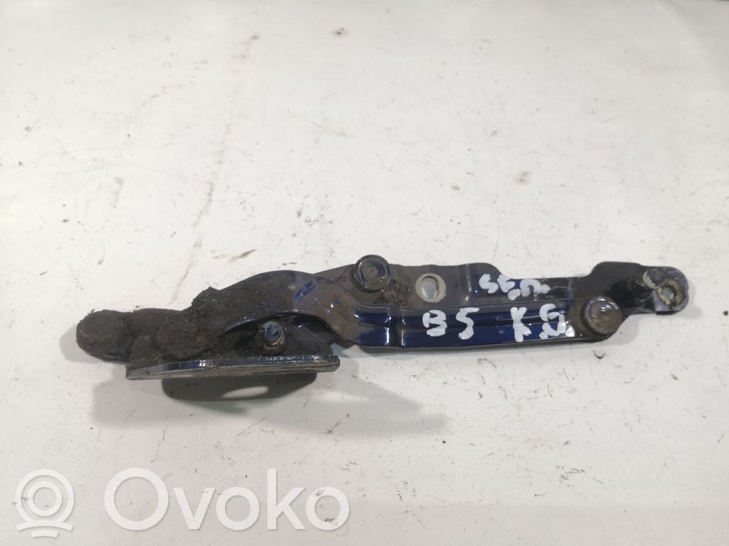 Volkswagen PASSAT B5 Tailgate/trunk/boot hinge 
