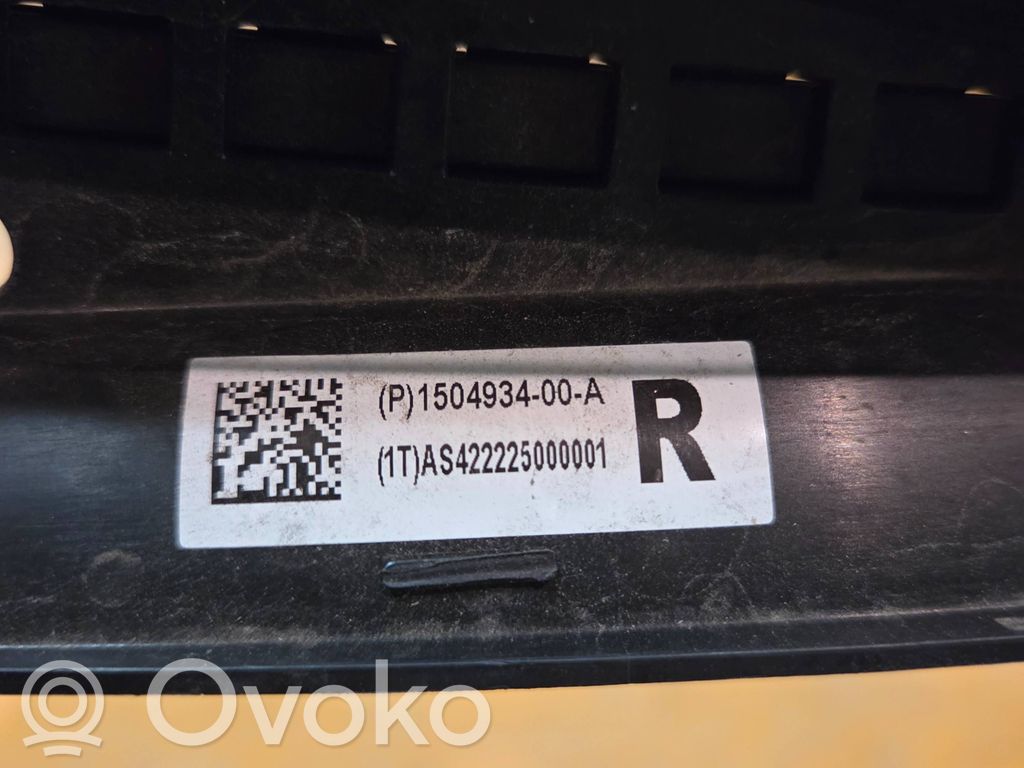 Tesla Model 3 Valytuvų apdaila (-os) 