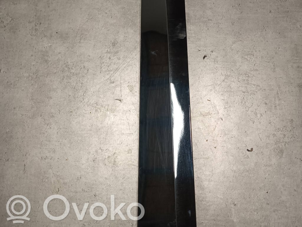BMW iX Front door trim (molding) 