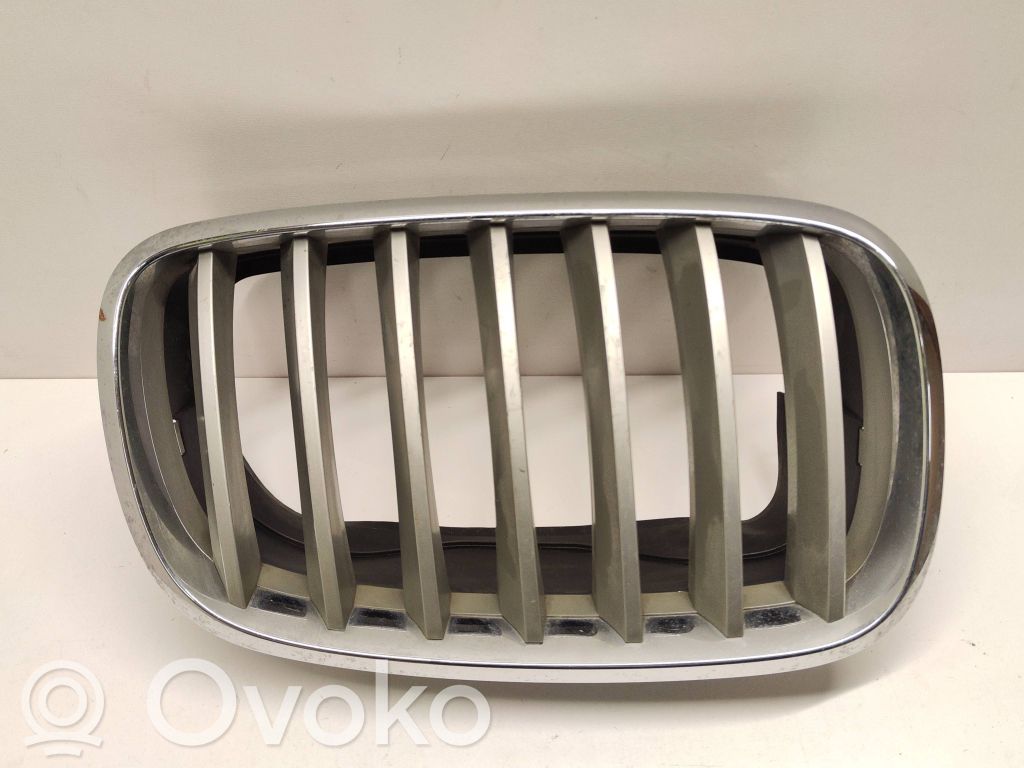 BMW X5 E70 Front bumper upper radiator grill 