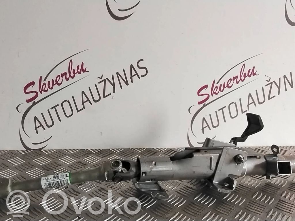 Kolumna kierownicza   488102832R,25225170770430,96456761